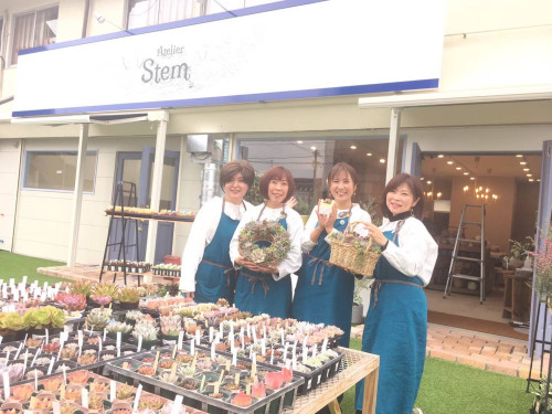 Atelier Stem１周年感謝祭