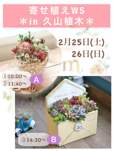 イベント【寄せ植えワークショップ in 久山植木】