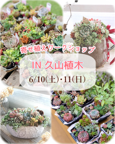 6/10・11【ワークショップ in 久山植木】