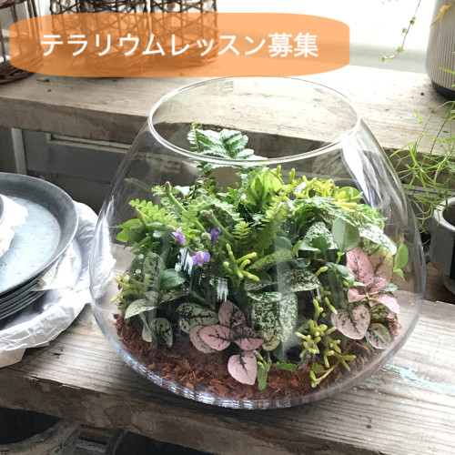７月【季節限定レッスン】