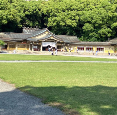 5/18(土)・19(日)イベント出店のお知らせ（多肉風月さんの苗写真）