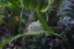 DSC_3597.jpg