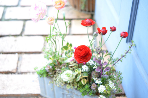 ２月のレッスン