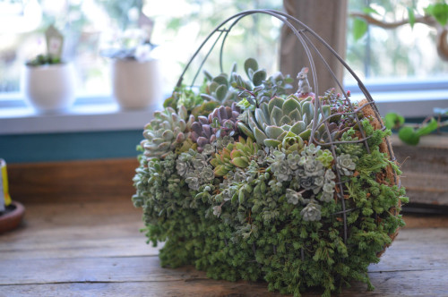 ３月のレッスン