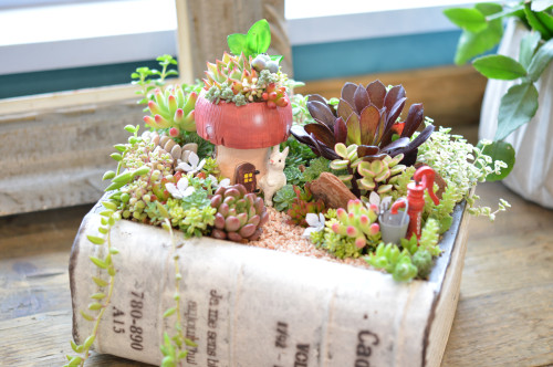 ４月のレッスン