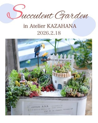 〖出張レッスン〗2/18㈬　多肉寄せ植えワークショップ（広島） 開催のお知らせ