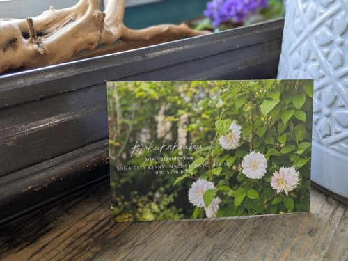 緑花工房Spring Open Garden 出店のお知らせ