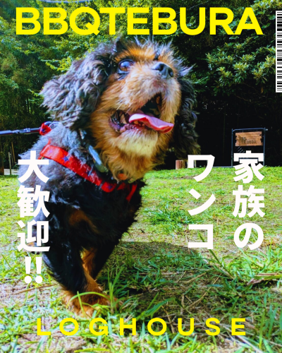 わんちゃん大歓迎🐶