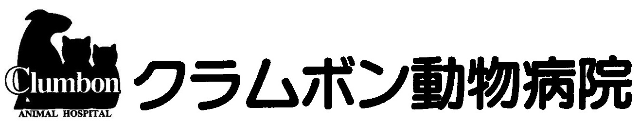 料金 税抜価格 検査 クラムボン動物病院