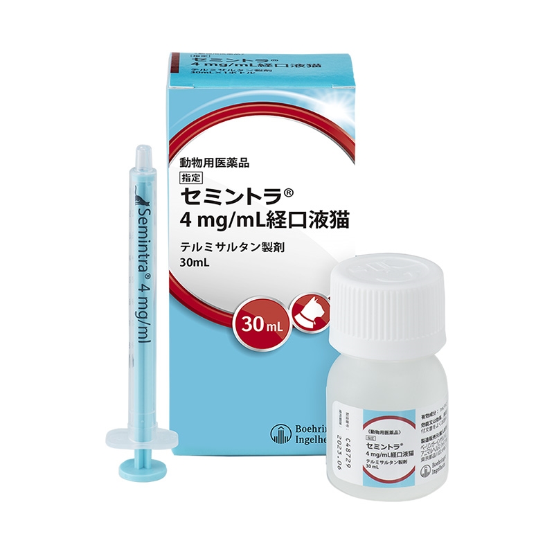 セミントラの供給再開