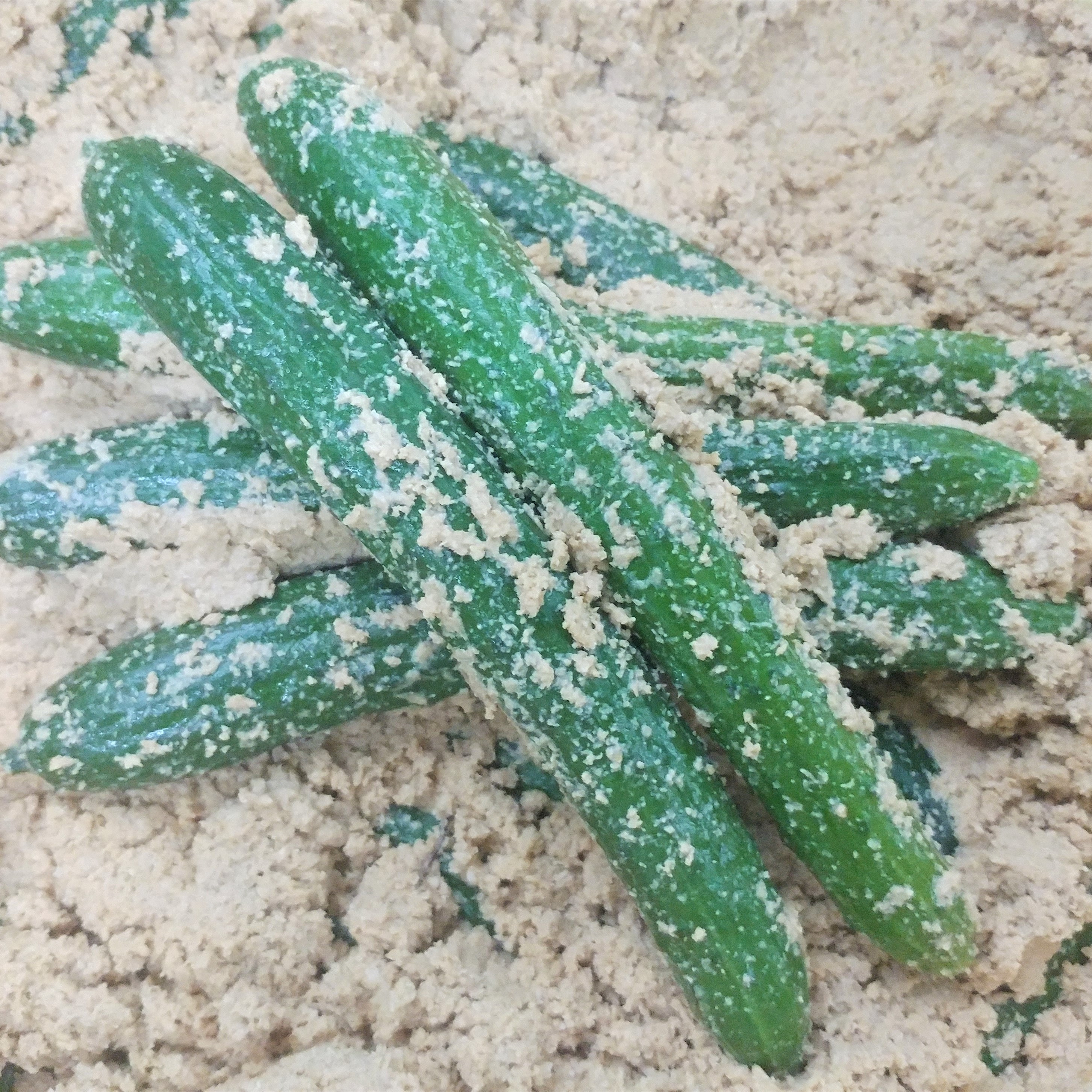 2025「板橋のいっぴん」に「胡瓜のぬか漬け」が認定されました。