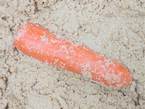 kuru 人参の浅漬け.jpg