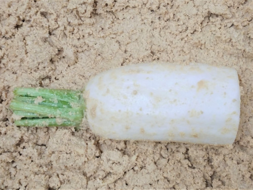 20200415_105701 (2).jpg