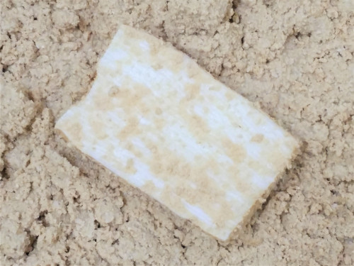 20200415_110040 (2).jpg