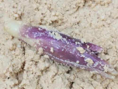 20200415_105940 (2).jpg