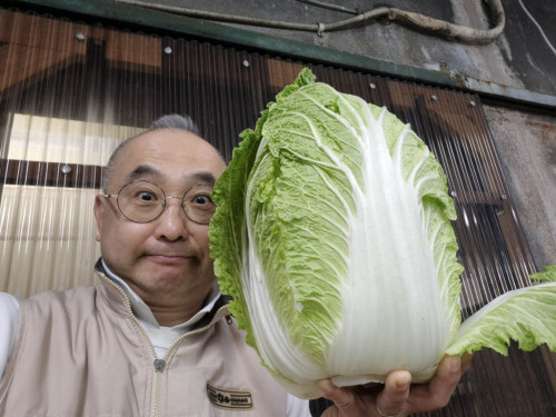 「美味しい白菜」・・・入荷しました！