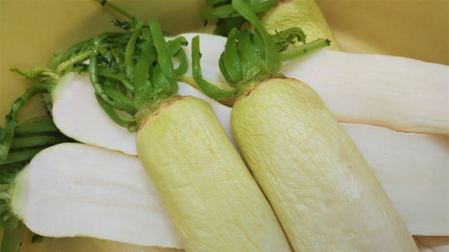 20200524_174058 (2).jpg