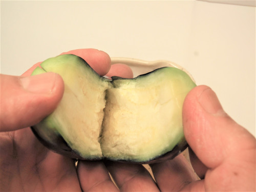 kuru　泉州水なす-2 (2).JPG