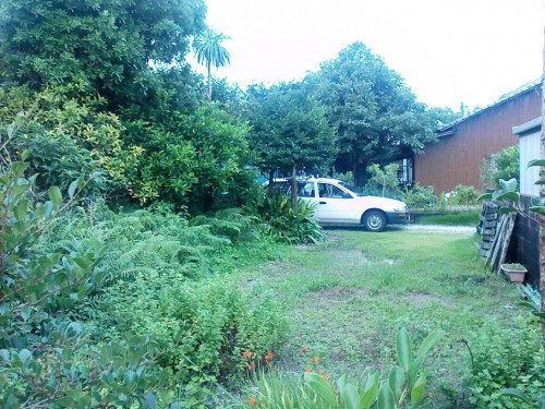 KC360011.JPG