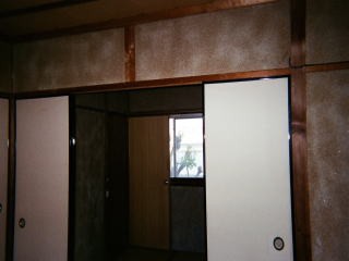 733500242.jpg