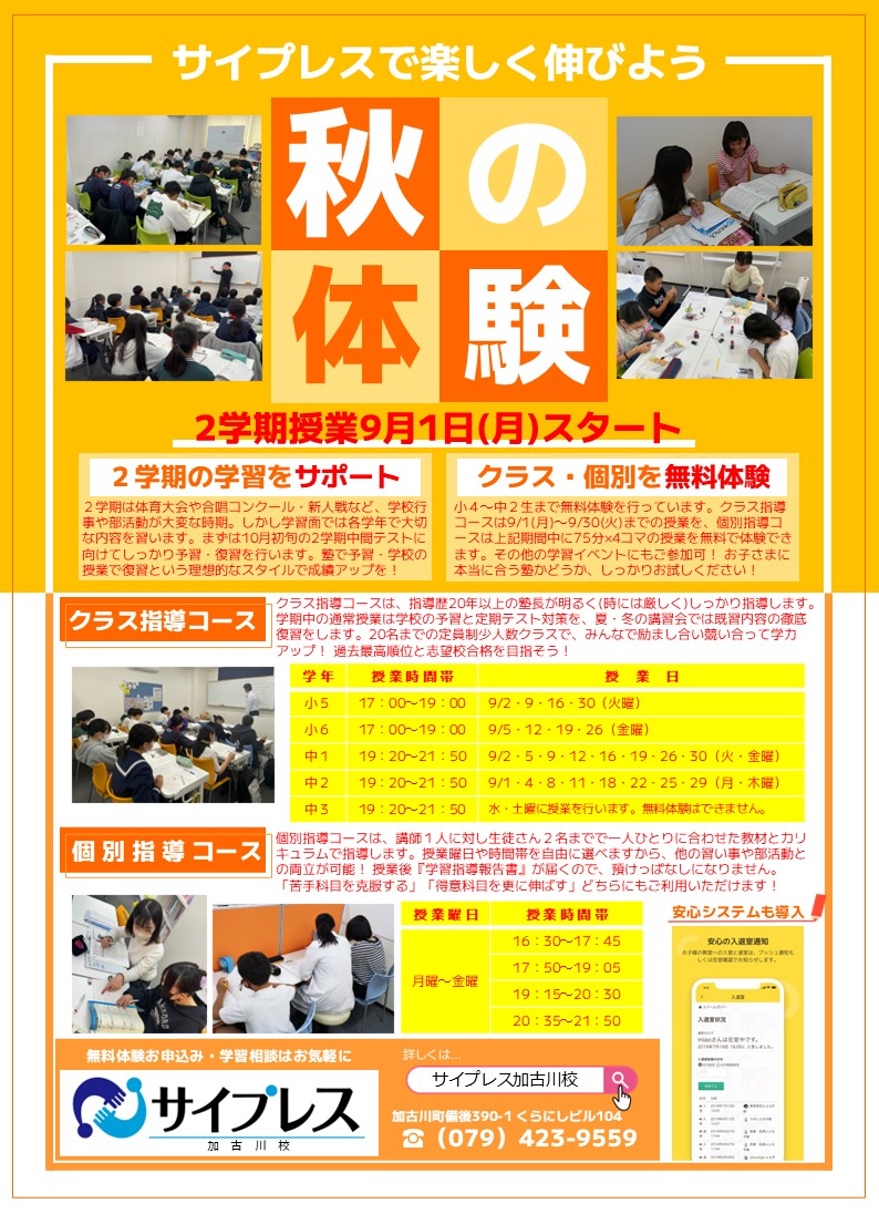 チラシページへ