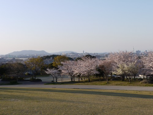 西公園１.JPG