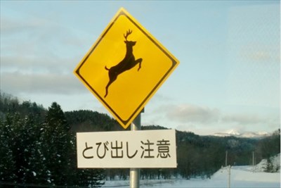 北海道ならではの道路標識～動物編～