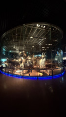 IMG_0310.jpeg