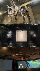 B1F5360F-925B-4DD5-BBBD-50DBB9FAE35E.jpeg