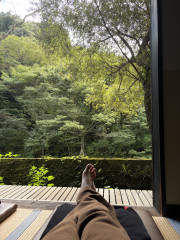 IMG_1934.jpeg