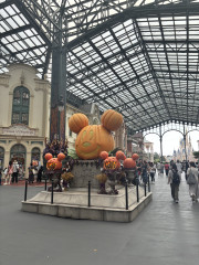 IMG_1149.jpeg