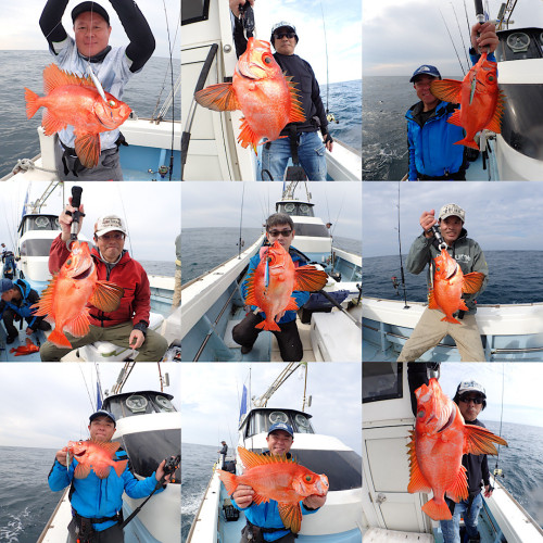 大募集中🙇‍♂️