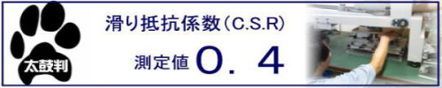 CSR011.jpg