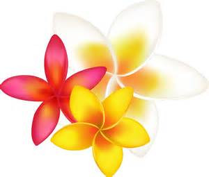 ７月２９日(火)～３１日(木)予約状況