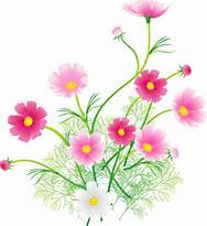 １０月２８日(火)～３１日(金)予約状況