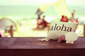 ４月２８日～５月１日(金)予約状況