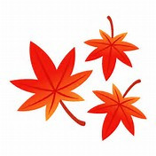 １０月２１日(水)～２５日(日)予約状況★