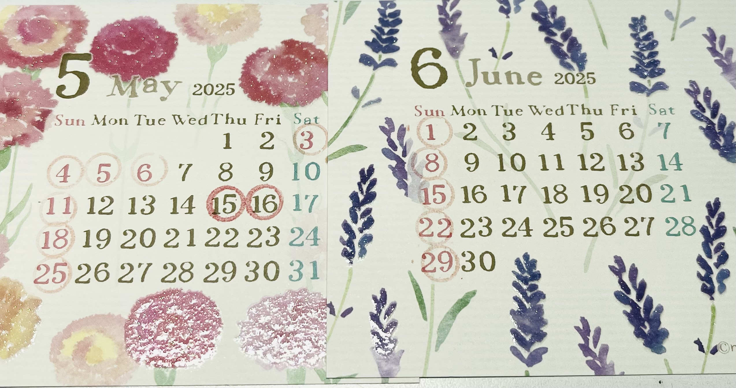 🥰5月6月のお休みのお知らせです🥰