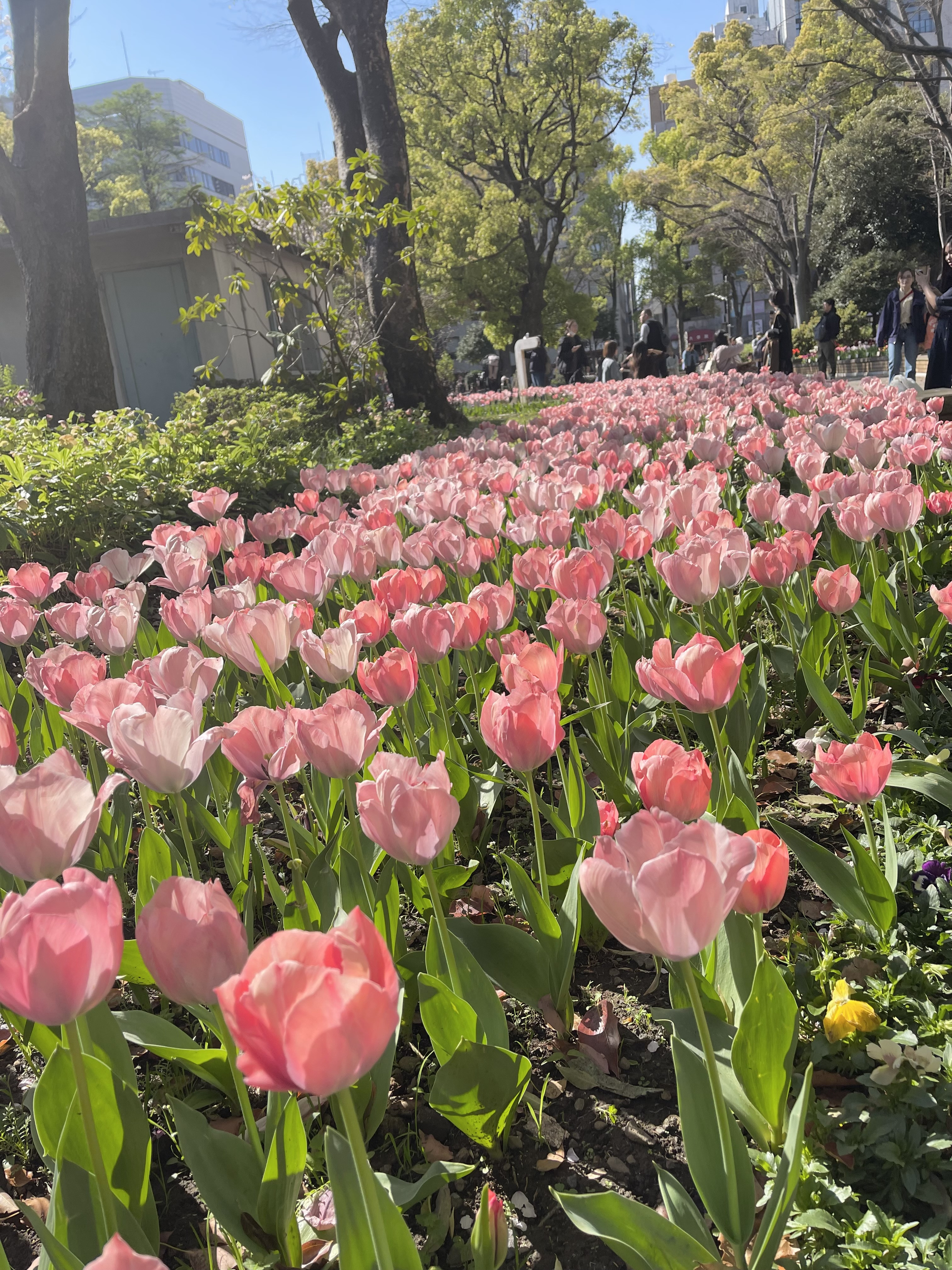 癒されてきました🌷