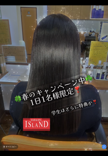 🌸 春のストレートキャンペーン 🌸