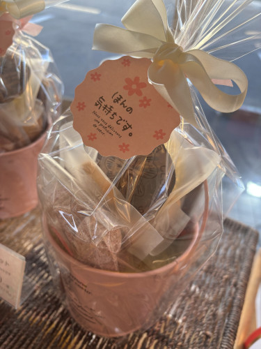 春色ギフト各種ご用意しています！！