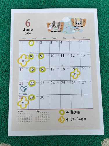 ６月定休日のご案内です