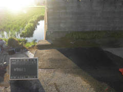 RIMG0029.JPG