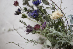 IMG_6999.jpeg