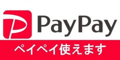 paypay_2.jpg