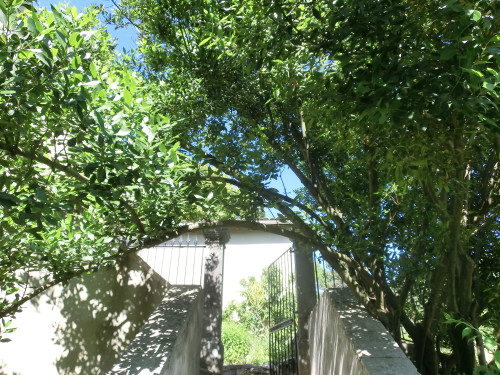 CIMG0288.JPG