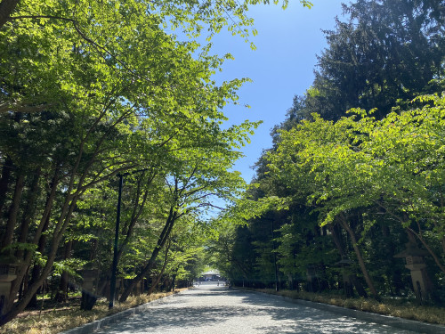 IMG_9688.jpeg
