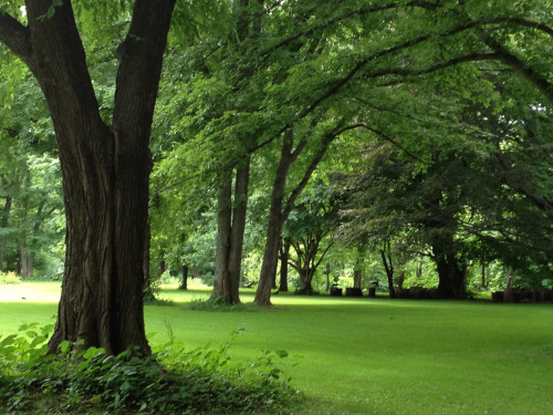 GW休業日のお知らせ