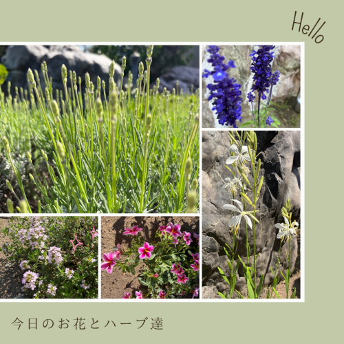 HPブログ用 (1080 x 1080 px)64.png