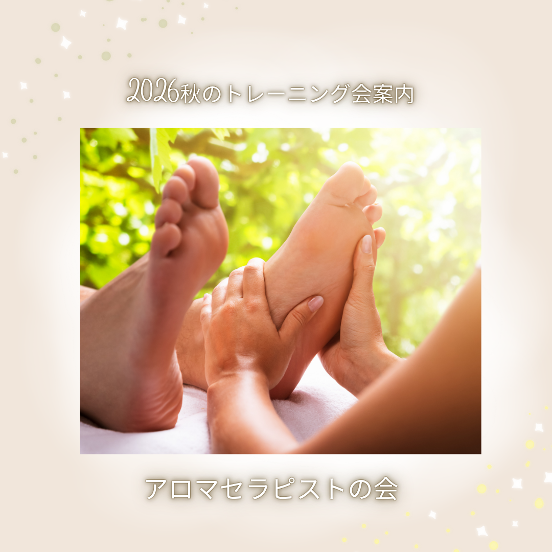 2026.夏 (1080 x 1080 px)のコピーのコピー.png